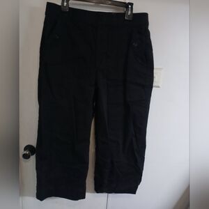 Terra & Sky Black Ankle Pants